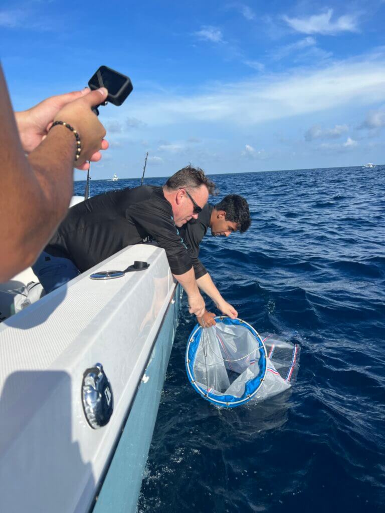 Researchers retrieving nets filled with Sargassum during an expedition, showcasing the hands-on process of marine ecosystem analysis.