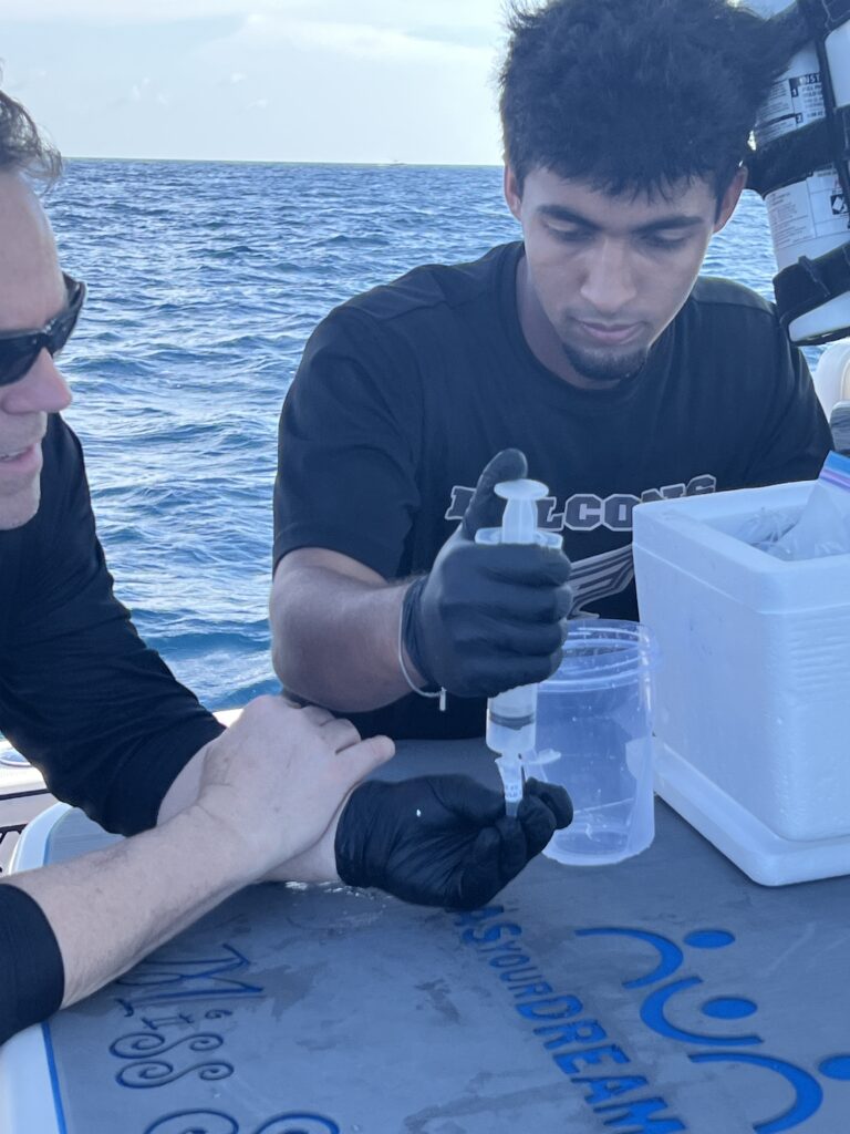 Individuals on a boat collecting Sargassum samples from the ocean, using specialized equipment for marine research.