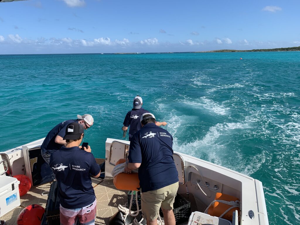Camera footage revealing tiger shark behavior and interaction in the Exuma Bahamas Shark Tagging & Data Study