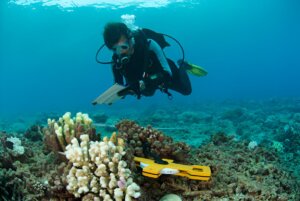 Marine Research: Vital for Our Planet's Future