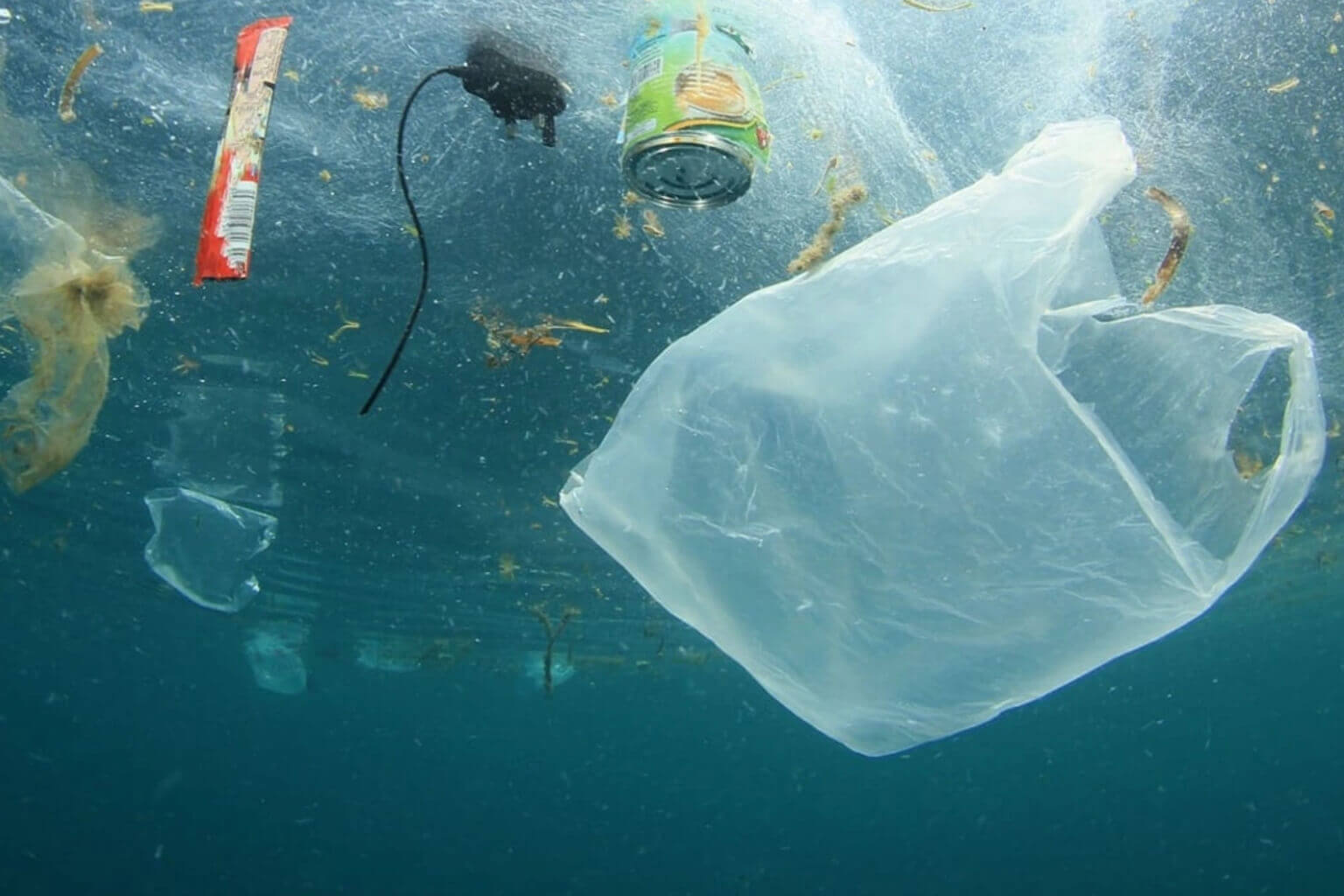 Plastic Waste in the Ocean