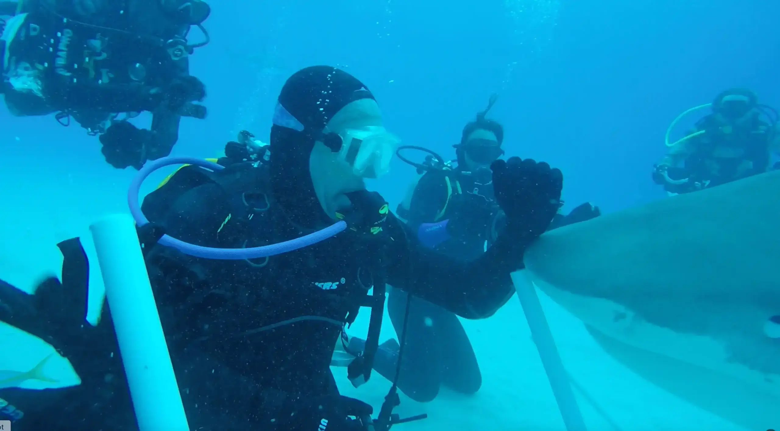 marine life conservation