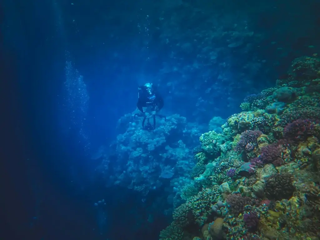 Deep Ocean Hydrothermal Vents Research