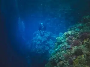Deep Ocean Hydrothermal Vents Research