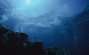 Ocean Research Funding
