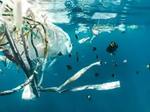 A dense collection of plastic bags, bottles, and other debris floating underwater, with fish swimming amongst the waste, starkly illustrating Ocean Pollution Facts and Statistics.