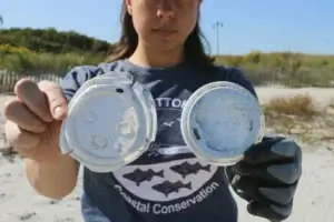 Learn what is the plastic in the ocean research paper about, its findings, effects of ocean plastic pollution, and solutions for a cleaner marine environment.
