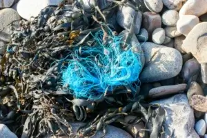 Learn what trash in the ocean research means, its causes, effects on marine life, and global solutions. Discover how scientists study trash in the ocean.