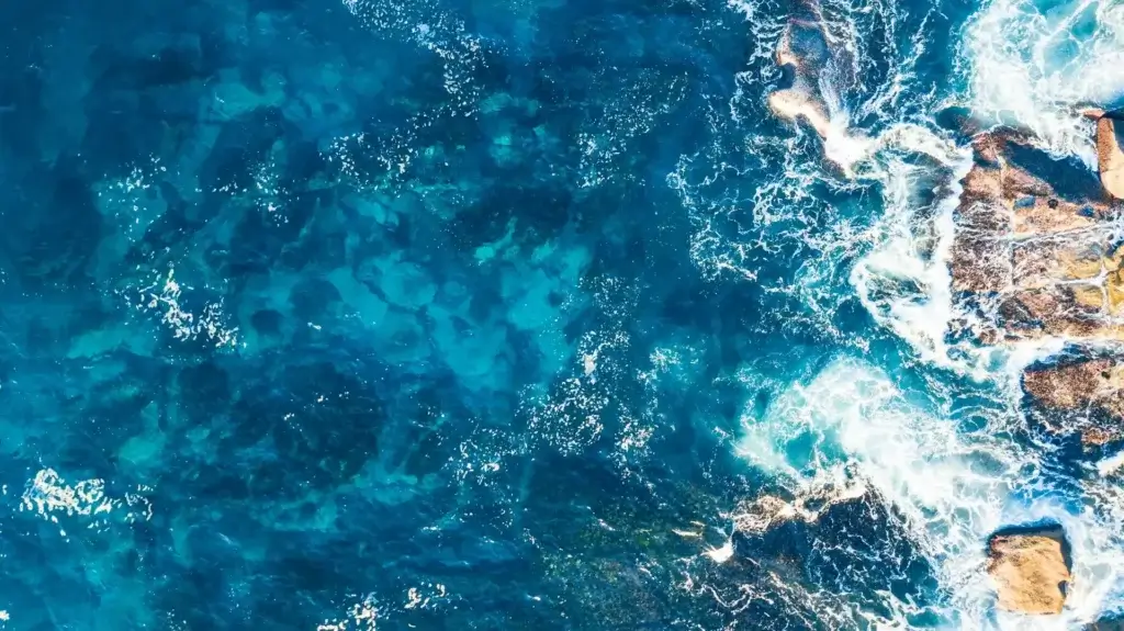 Discover what is the Ocean Research Advisory Panel (ORAP), its mission, structure, members, responsibilities, and why it plays a key role in shaping U.S. ocean research and policy.