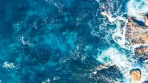 Discover what is the Ocean Research Advisory Panel (ORAP), its mission, structure, members, responsibilities, and why it plays a key role in shaping U.S. ocean research and policy.