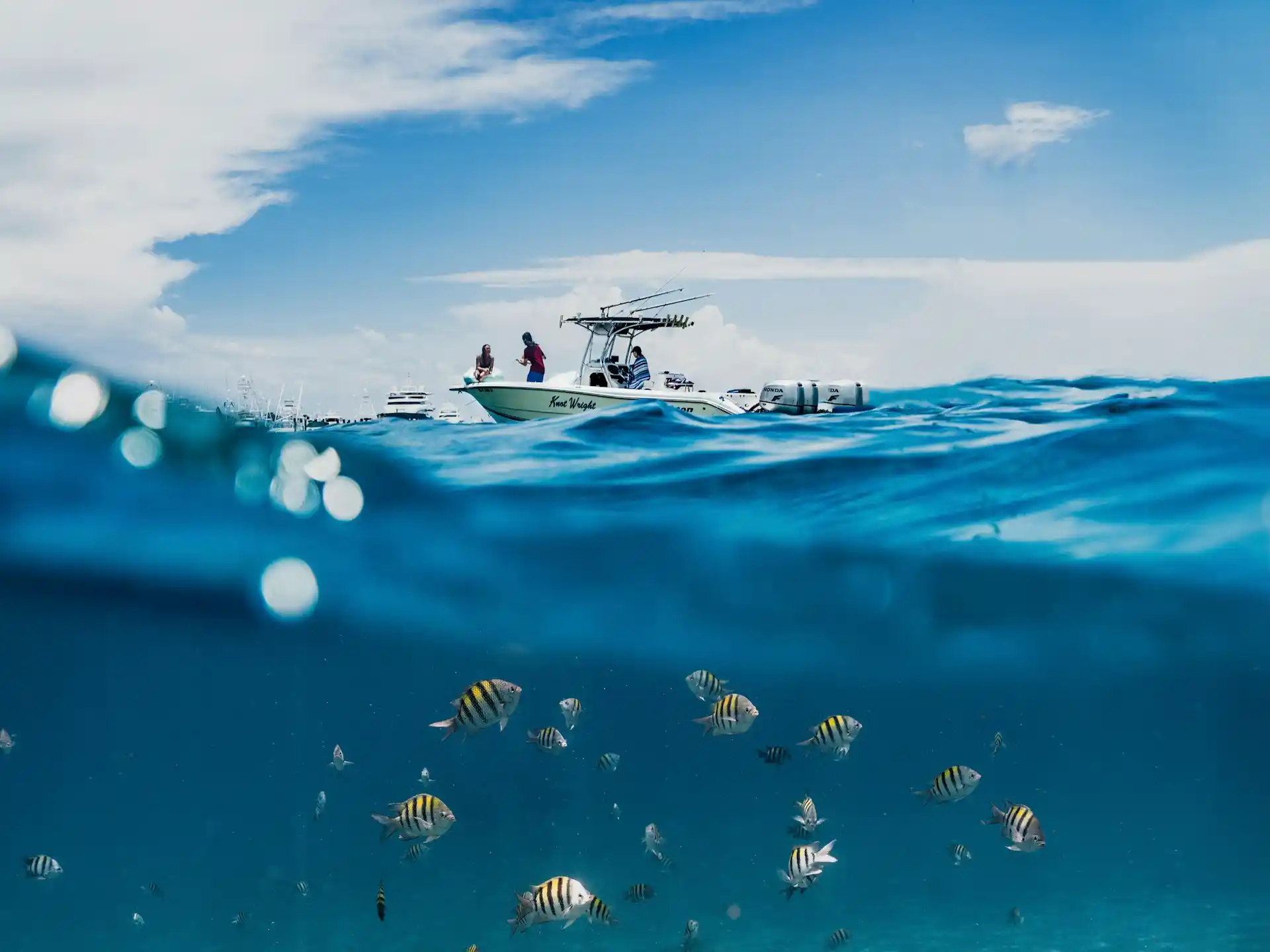 Discover why the ocean needs more research to protect biodiversity, tackle climate change, and support sustainable development. Learn about its benefits and challenges.