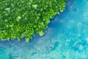 Explore the biggest challenges in achieving sustainability, from policy gaps to social and economic barriers, and discover actionable solutions for a greener and more resilient future.