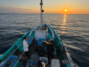 Exploring the Deep: Breakthroughs in Ocean Research