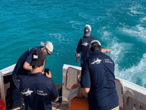 Ocean Research Missions